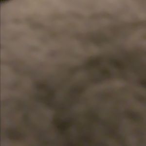 Meet your Posher, Chase